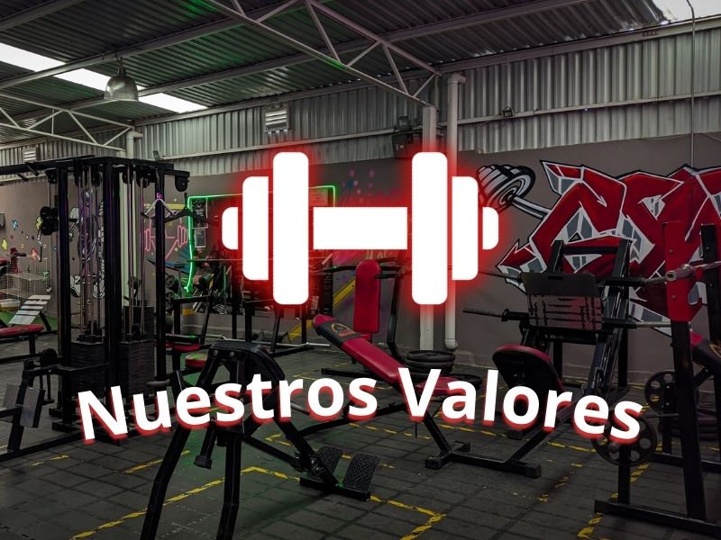 Nuestros valores