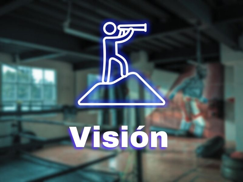 Visión